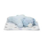 Păturică cu pernuță-animaluț Lorelli POFFY DUO TEDDY BEAR Blue - imagine 2