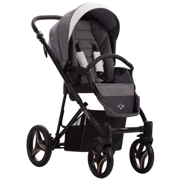 Carucior 2-in-1 Bebetto FLAVIO GLOSS 05 - imagine 3