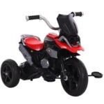 Tricicleta pentru copii Bike /710272/