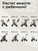 Tricicleta QPlay COMFO MAX Brown - imagine 4