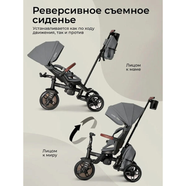 Tricicleta QPlay COMFO MAX Grey - imagine 2