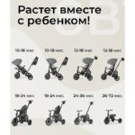 Tricicleta QPlay COMFO MAX Grey - imagine 3
