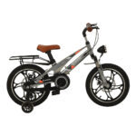 Bicicleta pentru copii 3-6 ani Glamvers CROSS LUX Grey 16"