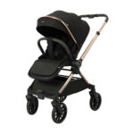 Cărucior cu mâner revirsibil Kidilo DINA Black