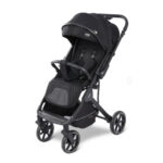 Cărucior cu mâner revirsibil Kidilo DARIO Black - imagine 2