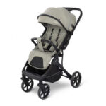 Коляска с перекидной ручкой  Kidilo DARIO Light Green