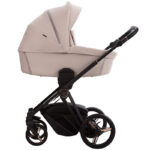 Carucior 2-in-1 Bebetto MONTI 05
