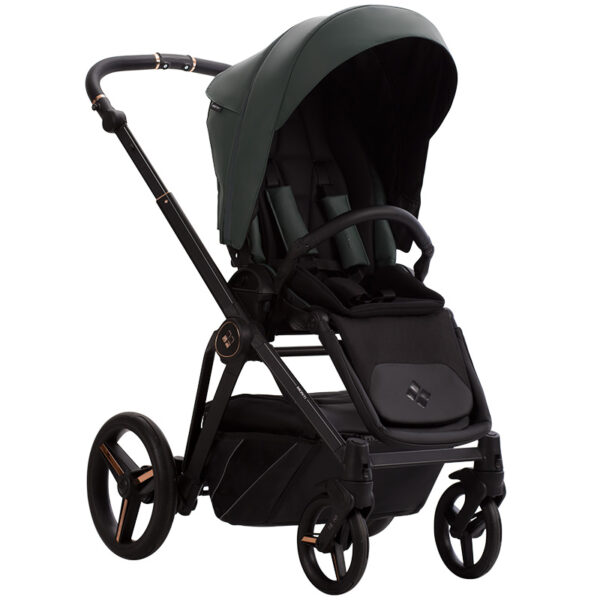 Carucior 2-in-1 Bebetto MONTI PRO 02  /eco-piele/ - imagine 4