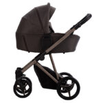 Carucior 2-in-1 Bebetto PELPASSO 03
