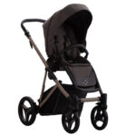 Carucior 2-in-1 Bebetto PELPASSO 03 - imagine 4