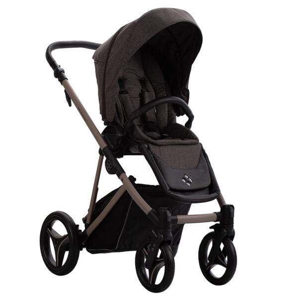 Carucior 2-in-1 Bebetto PELPASSO 03 - imagine 4
